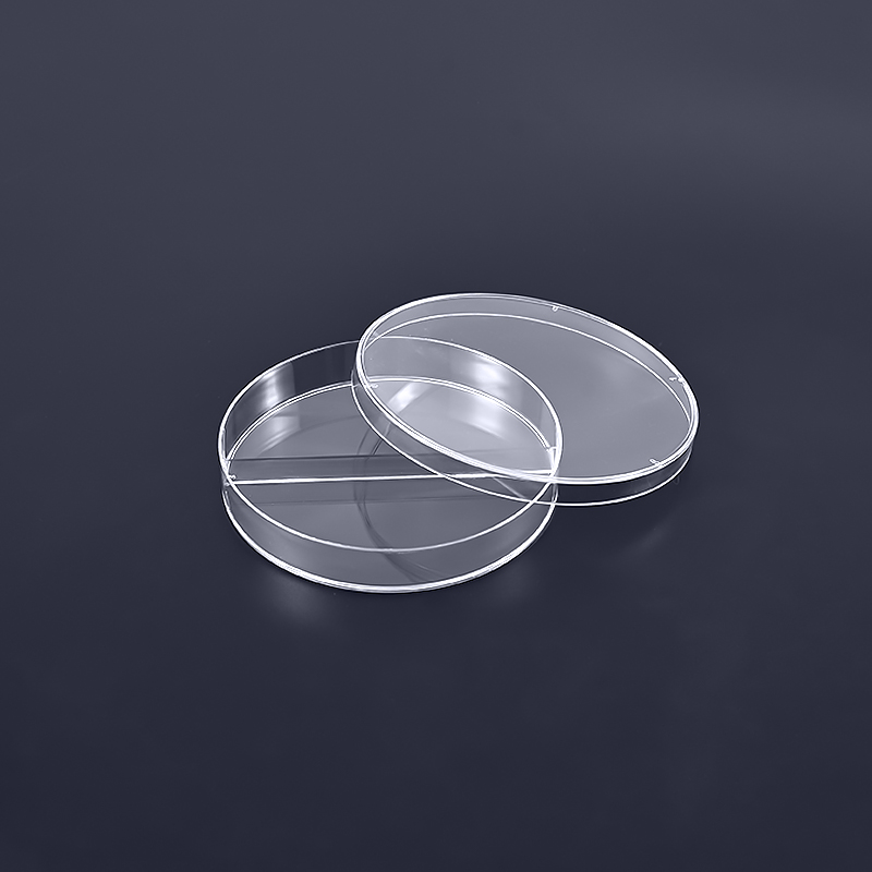 Medical Plastic Petri Dish Advancements in Culture